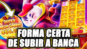 horario pagante do rabbit