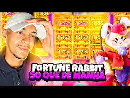 fortune rabbit - teste