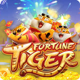 qual melhor horario de jogar fortune tiger ícone